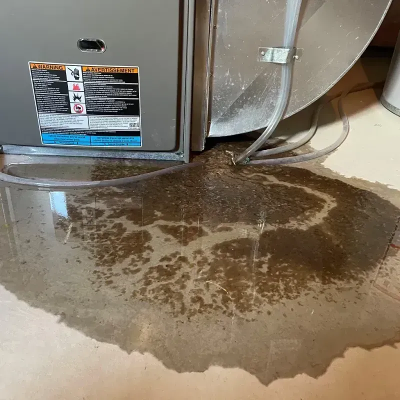 Appliance Leak Cleanup in Abingdon, VA